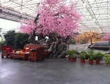 Peach Blossom Manor в Лоян Китай ✅. Забронировать номер онлайн по выгодной цене в Peach Blossom Manor. Трансфер из аэропорта.