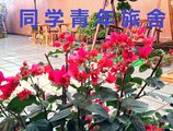 Classmate Hostel Gongbeikouan в Чжухай Китай ✅. Забронировать номер онлайн по выгодной цене в Classmate Hostel Gongbeikouan. Трансфер из аэропорта.
