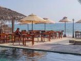 Sapphire Seas Beachfront Hotel в Хиккадува Шри Ланка ✅. Забронировать номер онлайн по выгодной цене в Sapphire Seas Beachfront Hotel. Трансфер из аэропорта.