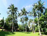 The Palms в Берувелла Шри Ланка ✅. Забронировать номер онлайн по выгодной цене в The Palms. Трансфер из аэропорта.