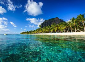 30.05.2023 Запись вебинара "Маврикий - он такой один" (сезонность и отельная база острова)