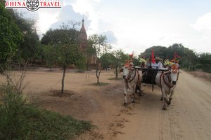 China Travel: Рекламный тур в МЬЯНМУ (05.10.2014) часть1