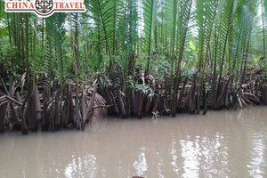 Рекламный тур CHINATRAVEL: ВЬЕТНАМ+КАМБОДЖА "2 жемчужины Индокитая"