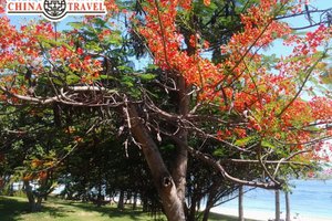 Рекламный тур CHINATRAVEL: ВЬЕТНАМ+КАМБОДЖА "2 жемчужины Индокитая"