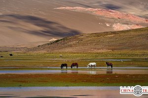 China Travel: Тибет (часть1).