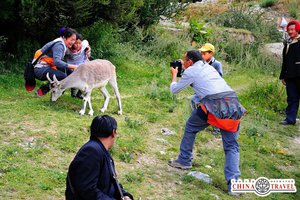 China Travel: Тибет (часть1).