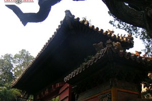 Рекламный тур ChinaTravel: "Маски Пекина"