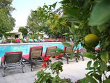 Les Orangers Beach Resort & Bungalows в Хаммамет Тунис ✅. Забронировать номер онлайн по выгодной цене в Les Orangers Beach Resort & Bungalows. Трансфер из аэропорта.