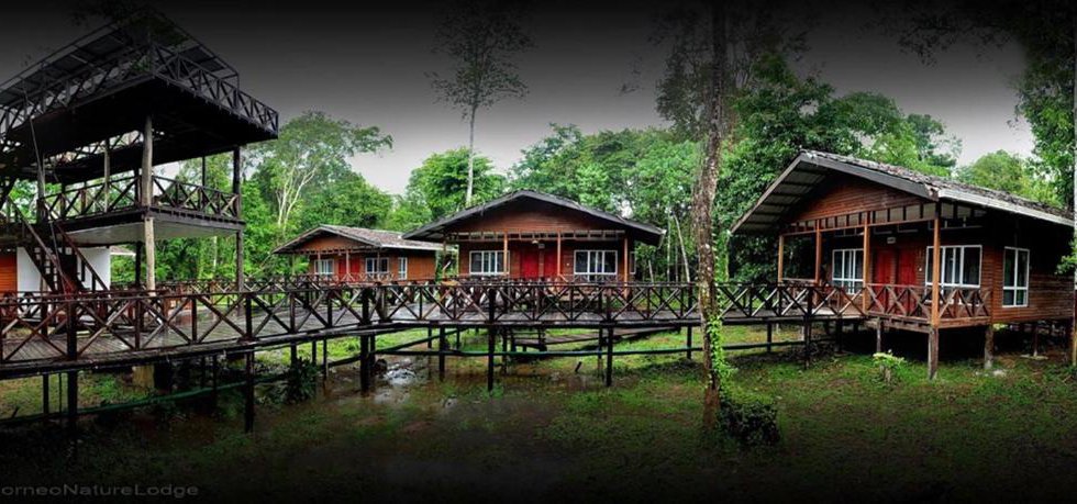 Borneo Nature Lodge в остров Борнео Малайзия. Забронировать номер онлайн по выгодной цене в Borneo Nature Lodge. Трансфер из аэропорта.