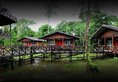 Borneo Nature Lodge в остров Борнео Малайзия. Забронировать номер онлайн по выгодной цене в Borneo Nature Lodge. Трансфер из аэропорта.