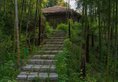 Huzhou Giraffe Manor в Хучжоу Китай ✅. Забронировать номер онлайн по выгодной цене в Huzhou Giraffe Manor. Трансфер из аэропорта.