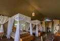 Kibo Safari Camp в Амбосели Кения. Забронировать номер онлайн по выгодной цене в Kibo Safari Camp. Трансфер из аэропорта.