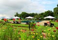 Bagan Thiripyitsaya Sanctuary Resort в Баган Мьянма ✅. Забронировать номер онлайн по выгодной цене в Bagan Thiripyitsaya Sanctuary Resort. Трансфер из аэропорта.
