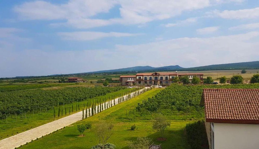 Château Mosmieri Hotel & Winery в Телави Грузия ✅. Забронировать номер онлайн по выгодной цене в Château Mosmieri Hotel & Winery. Трансфер из аэропорта.