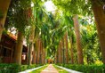 Buddha Maya Garden в Лумбини Непал ✅. Забронировать номер онлайн по выгодной цене в Buddha Maya Garden. Трансфер из аэропорта.