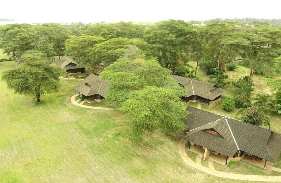 Ol Tukai Lodge в Амбосели Кения. Забронировать номер онлайн по выгодной цене в Ol Tukai Lodge. Трансфер из аэропорта.