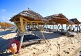 Les Orangers Beach Resort & Bungalows в Хаммамет Тунис ✅. Забронировать номер онлайн по выгодной цене в Les Orangers Beach Resort & Bungalows. Трансфер из аэропорта.