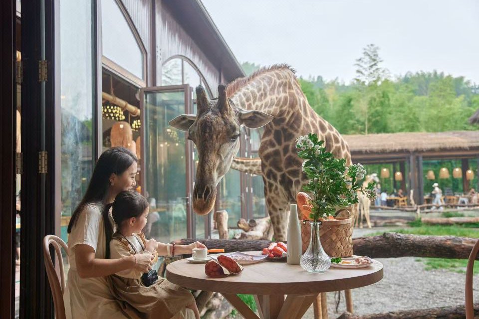 Huzhou Giraffe Manor в Хучжоу Китай ✅. Забронировать номер онлайн по выгодной цене в Huzhou Giraffe Manor. Трансфер из аэропорта.