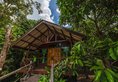 Borneo Rainforest Lodge в остров Борнео Малайзия. Забронировать номер онлайн по выгодной цене в Borneo Rainforest Lodge. Трансфер из аэропорта.