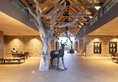 Kapama River Lodge в Нельспрут ЮАР. Забронировать номер онлайн по выгодной цене в Kapama River Lodge. Трансфер из аэропорта.