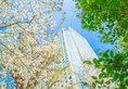 Shinagawa Prince Hotel в Токио Япония ✅. Забронировать номер онлайн по выгодной цене в Shinagawa Prince Hotel. Трансфер из аэропорта.