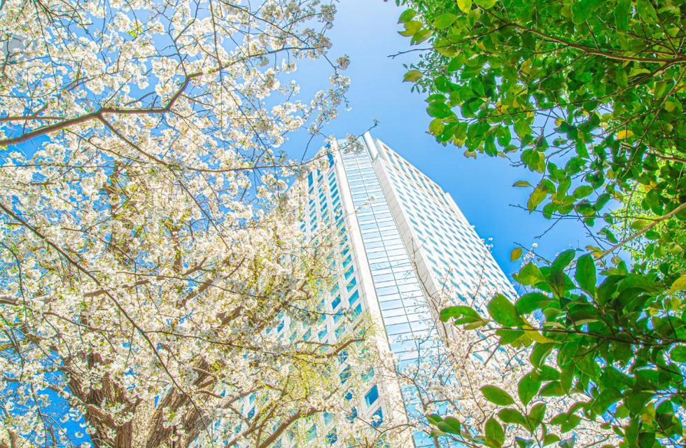 Shinagawa Prince Hotel в Токио Япония ✅. Забронировать номер онлайн по выгодной цене в Shinagawa Prince Hotel. Трансфер из аэропорта.