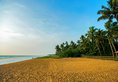 Taprobana by Asia Leisure - Level 1 Certified в Ваддува Шри-Ланка ✅. Забронировать номер онлайн по выгодной цене в Taprobana by Asia Leisure - Level 1 Certified. Трансфер из аэропорта.