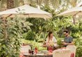Four Seasons Resort Dubai at Jumeirah Beach в Дубай - Джумейра ОАЭ ✅. Забронировать номер онлайн по выгодной цене в Four Seasons Resort Dubai at Jumeirah Beach. Трансфер из аэропорта.