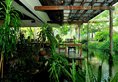 Tanjung Rhu Resort в Лангкави Малайзия. Забронировать номер онлайн по выгодной цене в Tanjung Rhu Resort. Трансфер из аэропорта.