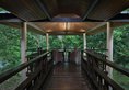 Mulu Marriott Resort & SPA в Ипох Малайзия. Забронировать номер онлайн по выгодной цене в Mulu Marriott Resort & SPA. Трансфер из аэропорта.
