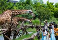 Huzhou Giraffe Manor Hotel в Хучжоу Китай. Забронировать номер онлайн по выгодной цене в Huzhou Giraffe Manor Hotel. Трансфер из аэропорта.