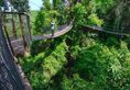 Bunga Raya Island Resort & Spa в Борнео Малайзия ✅. Забронировать номер онлайн по выгодной цене в Bunga Raya Island Resort & Spa. Трансфер из аэропорта.