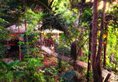Bunga Raya Island Resort & Spa в Борнео Малайзия ✅. Забронировать номер онлайн по выгодной цене в Bunga Raya Island Resort & Spa. Трансфер из аэропорта.