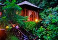 Bunga Raya Island Resort & Spa в Борнео Малайзия ✅. Забронировать номер онлайн по выгодной цене в Bunga Raya Island Resort & Spa. Трансфер из аэропорта.