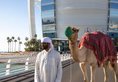 Burj Al Arab Jumeirah в Дубай - Джумейра ОАЭ ✅. Забронировать номер онлайн по выгодной цене в Burj Al Arab Jumeirah. Трансфер из аэропорта.