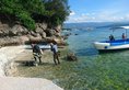 Cebu Seaview Dive Resort в Себу Филиппины ✅. Забронировать номер онлайн по выгодной цене в Cebu Seaview Dive Resort. Трансфер из аэропорта.
