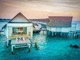 Centara Grand Island Resort & Spa Maldives в Атолл Южный Ари Мальдивы ✅. Забронировать номер онлайн по выгодной цене в Centara Grand Island Resort & Spa Maldives. Трансфер из аэропорта.