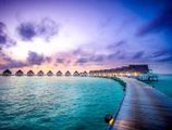 Centara Grand Island Resort & Spa Maldives в Атолл Южный Ари Мальдивы ✅. Забронировать номер онлайн по выгодной цене в Centara Grand Island Resort & Spa Maldives. Трансфер из аэропорта.