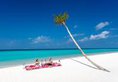 LUX* North Male Atoll в Атолл Северный Мале Мальдивы ✅. Забронировать номер онлайн по выгодной цене в LUX* North Male Atoll. Трансфер из аэропорта.