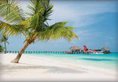 LUX* South Ari Atoll в Атолл Южный Ари Мальдивы ✅. Забронировать номер онлайн по выгодной цене в LUX* South Ari Atoll. Трансфер из аэропорта.