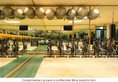 Le Meridien Mina Seyahi Beach Resort & Waterpark в Дубай ОАЭ ✅. Забронировать номер онлайн по выгодной цене в Le Meridien Mina Seyahi Beach Resort & Waterpark. Трансфер из аэропорта.