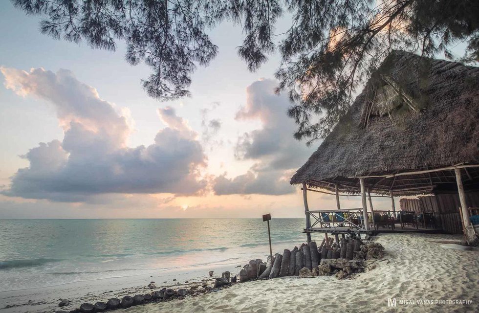 Ndame Beach Lodge в Занзибар Танзания ✅. Забронировать номер онлайн по выгодной цене в Ndame Beach Lodge. Трансфер из аэропорта.