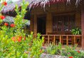 Oasis Resort в Бохоль Филиппины ✅. Забронировать номер онлайн по выгодной цене в Oasis Resort. Трансфер из аэропорта.
