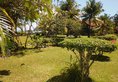 Paradise Beach Club Mirrisa в Mirissa Шри-Ланка ✅. Забронировать номер онлайн по выгодной цене в Paradise Beach Club Mirrisa. Трансфер из аэропорта.
