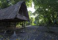 Plataran Canggu Bali Resort & Spa в Чангу Индонезия ✅. Забронировать номер онлайн по выгодной цене в Plataran Canggu Bali Resort & Spa. Трансфер из аэропорта.