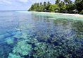 Robinson Club Maldives в Атолл Гаафу Мальдивы ✅. Забронировать номер онлайн по выгодной цене в Robinson Club Maldives. Трансфер из аэропорта.