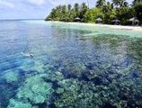 Robinson Club Maldives в Атолл Гаафу Мальдивы ✅. Забронировать номер онлайн по выгодной цене в Robinson Club Maldives. Трансфер из аэропорта.