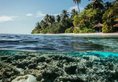 Robinson Club Maldives в Атолл Гаафу Мальдивы ✅. Забронировать номер онлайн по выгодной цене в Robinson Club Maldives. Трансфер из аэропорта.
