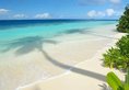 Robinson Club Maldives в Атолл Гаафу Мальдивы ✅. Забронировать номер онлайн по выгодной цене в Robinson Club Maldives. Трансфер из аэропорта.