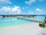 Robinson Club Maldives в Атолл Гаафу Мальдивы ✅. Забронировать номер онлайн по выгодной цене в Robinson Club Maldives. Трансфер из аэропорта.